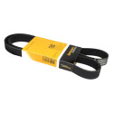Correia V-poli V ContiTech 6 PK 1230
