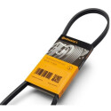 Correia V-poli V ContiTech 6 PK 1250
