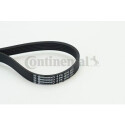 Correia V-poli V ContiTech 6 PK 1270