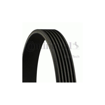 Correia V-poli V ContiTech 6 PK 1275