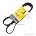 Correia V-poli V ContiTech 6PK1293