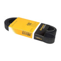 Correia V-poli V ContiTech 6 PK 1360