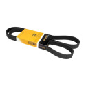 Correia V-poli V ContiTech 6 PK 1413