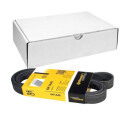 Correia V-poli V ContiTech 6PK1448