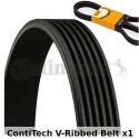 Correia V-poli V ContiTech 6 PK 1453