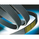 Correia V-poli V ContiTech 6 PK 1495