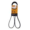 Correia V-poli V ContiTech 6 PK 1560