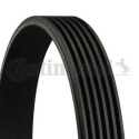 Correia V-poli V ContiTech 6 PK 1635