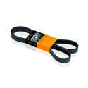 Correia V-poli V ContiTech 6 PK 1800