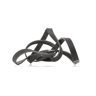 Correia V-poli V ContiTech 6 PK 1830