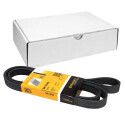 Correia V-poli V ContiTech 6 PK 1840