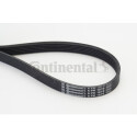 Correia V-poli V ContiTech 6 PK 1870