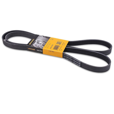 Correia V-poli V ContiTech 6 PK 1873