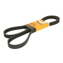 Correia V-poli V ContiTech 6 PK 1880