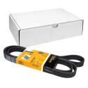 Correia V-poli V ContiTech 6 PK 1885