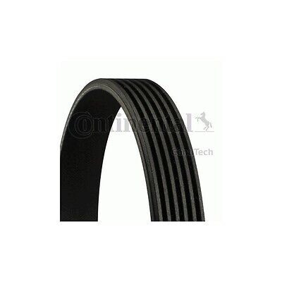 Correia ContiTech V-nervurada 6 PK 1910
