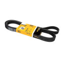 Correia V-poli V ContiTech 6 PK 2140