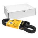 Correia V-poli V ContiTech 6 PK 2215