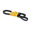Correia V-poli V ContiTech 6 PK 2225