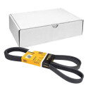 Correia V-poli V ContiTech 6 PK 2510