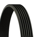 Correia V-poli V ContiTech 6 PK 745