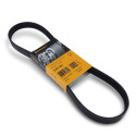 Correia V-poli V ContiTech 6 PK 894