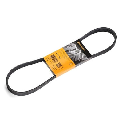Correia V-poli V ContiTech 6 PK 906