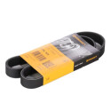 Correia trapezoidal ContiTech 6PK923 Poly V