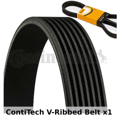 Correia V-poli V ContiTech 7 PK 1093