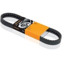Correia V-poli V ContiTech 7PK1113