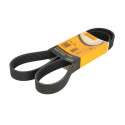 Correia V-poli V ContiTech 7 PK 1325