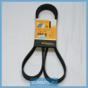 Correia ContiTech V-nervurada 7 PK 1605