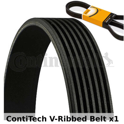 Correia V-poli V ContiTech 7 PK 1715