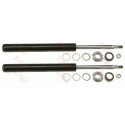 Conjunto de amortecedores TRW JGC135T