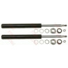 Conjunto de amortecedores TRW JGC135T