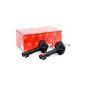 Conjunto de amortecedores TRW JGM1201T