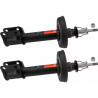 Conjunto de amortecedores TRW JGM153T