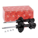 Conjunto de amortecedores TRW JGM6456T