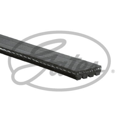 Correia em V GATES V-poly 4PK798SF