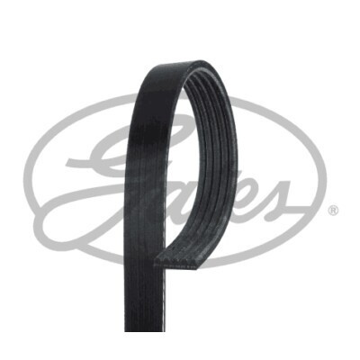 Correia em V GATES V-poly 5PK1680