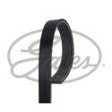 Correia em V GATES V-poly 5PK1960