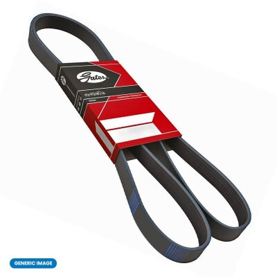 Correia em V GATES 6PK903XS