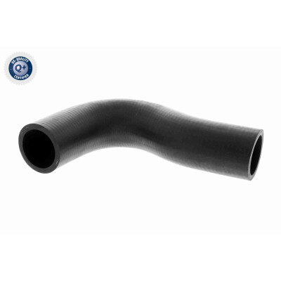 Tubo flexível do radiador