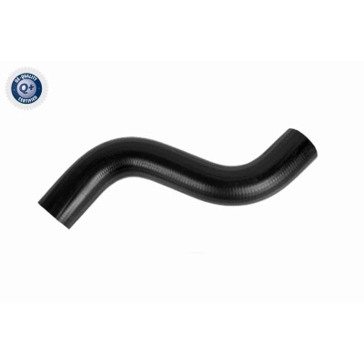 Tubo flexível do radiador