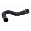 Tubo flexível do radiador