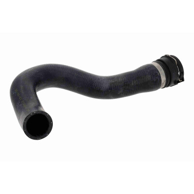 Tubo flexível do radiador