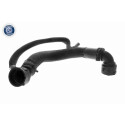 Tubo flexível do radiador