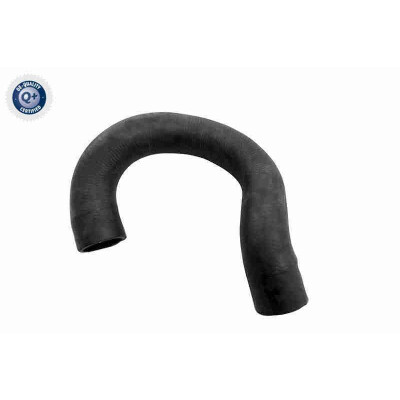 Tubo flexível do radiador