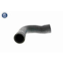 Tubo flexível do radiador