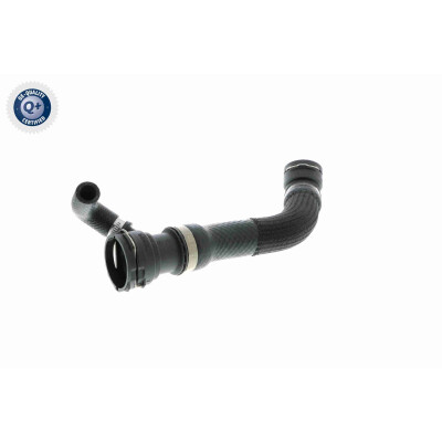 Tubo flexível do radiador
